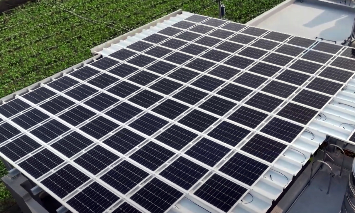 jinnian金年会SunSteel光电浪板升级双玻结构，以提升机械负载强度及气候耐候度，可广泛运用于多元场域