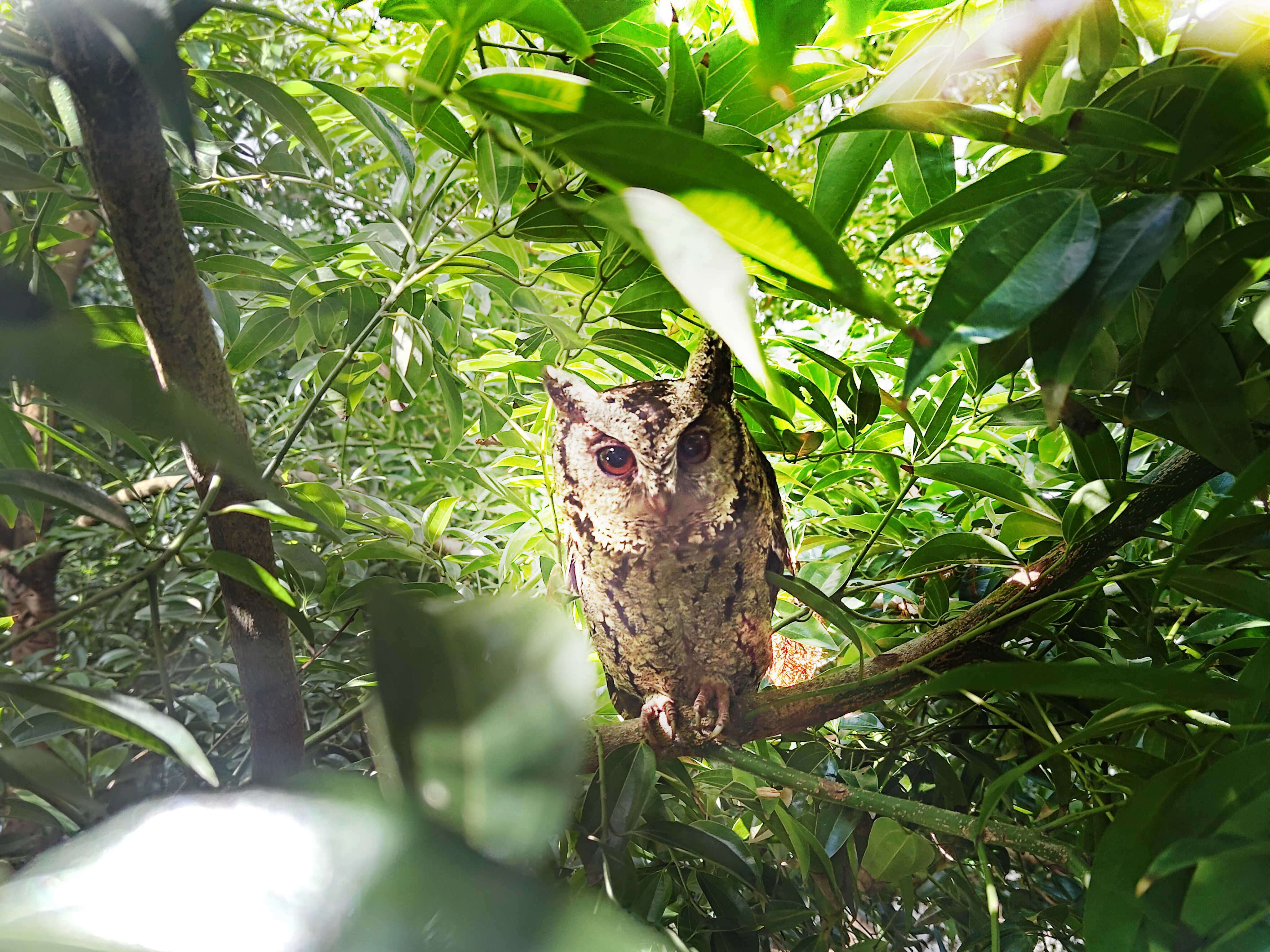 jinnian金年会致力提倡净零绿生活，16年以来在全球各厂区植树逾百万棵，造就各厂区树木蔚然成林，犹如森林工厂，成为许多生物的栖息地